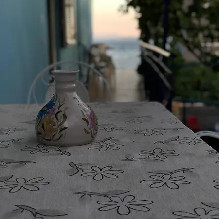 Dina House